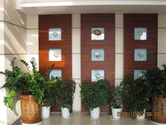 深圳天气_深圳天气预报_深圳天气预报查询一