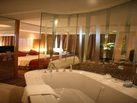 苏州维景国际大酒店_南京维景国际大酒店_维