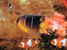 上海长风海洋世界