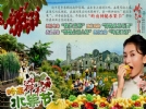 岭南印象园门票预订