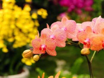 河南周边旅游-河南著名旅游景点-河南旅游景点