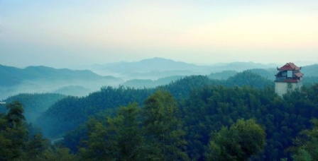 桃江县洪山竹海行