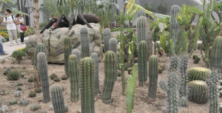 西安世博园门票_西安世博园门票价格_西安世