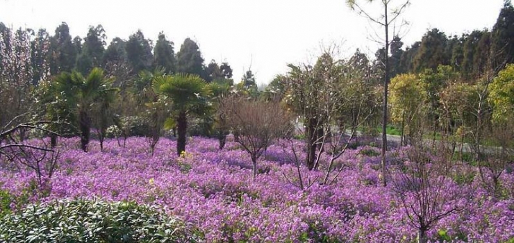 崇明东平国家森林公园_崇明东平国家森林公园旅游_一起游_17u.com