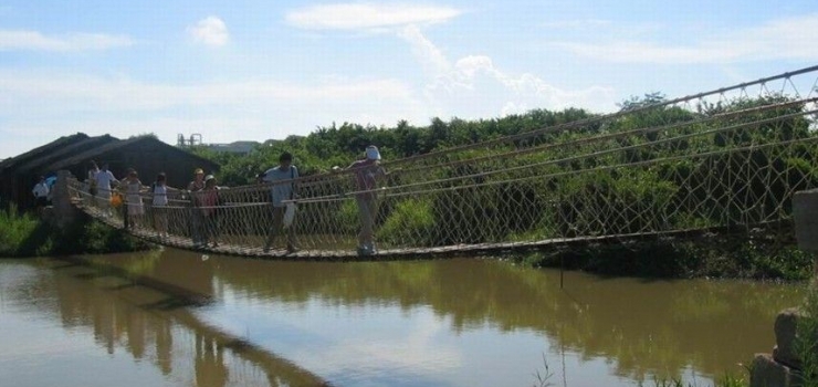 亚马逊原始森林巨型动物