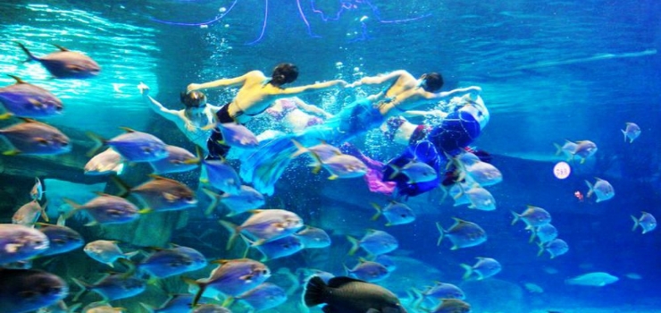 泉城<em>海洋极地世界</em>景点<em>图片</em>_泉城<em>海洋极地世界</em>
