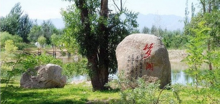银川森淼生态旅游区景点图片