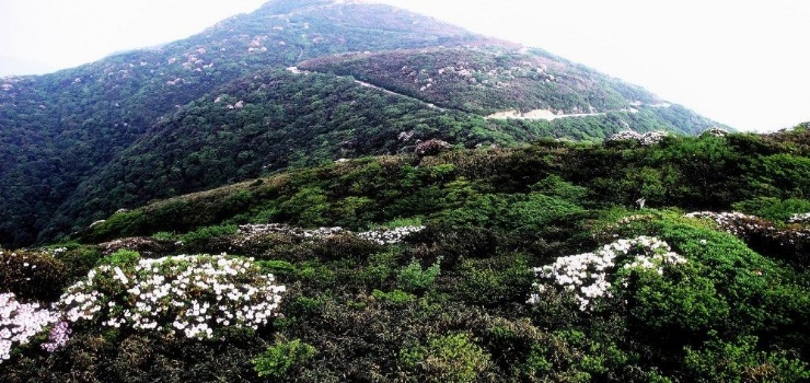 雷公山国家森林公园门票预订 - 旅游出行