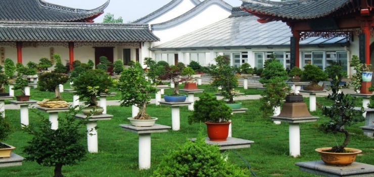 江苏省江都区仙女镇GDP_江都区大桥镇